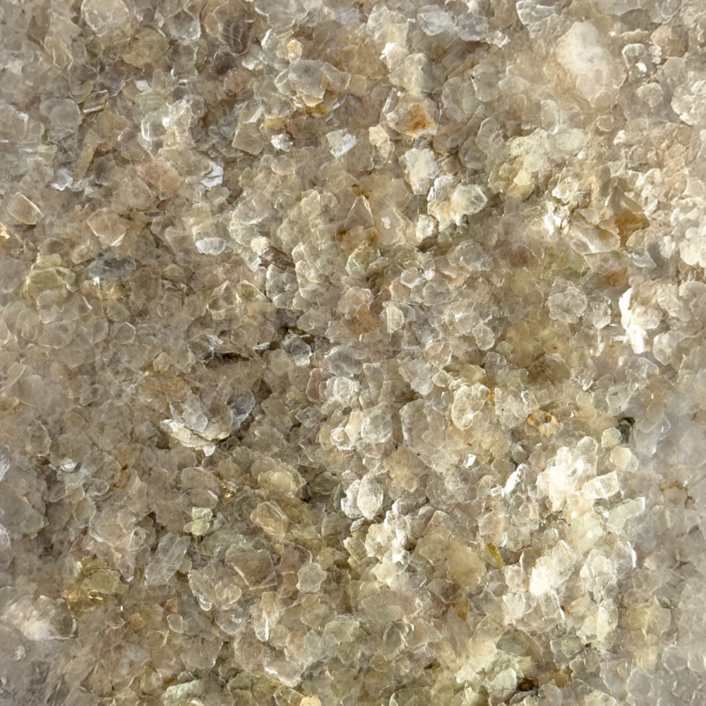 Silver Leaf